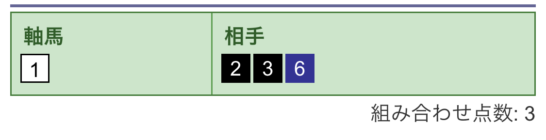 馬連・馬単買い目